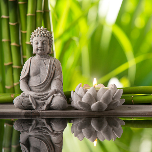 zen budism meditatie500